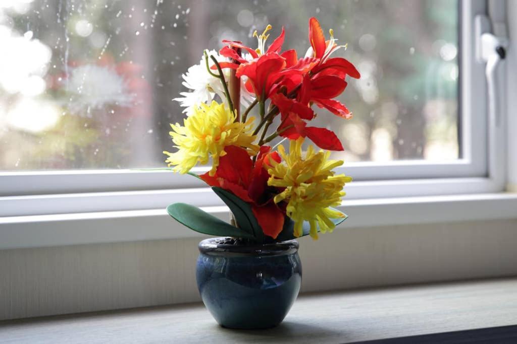Edinburgh - Seton Sands-Cameo Caravan-Pet Friendly 외부 사진